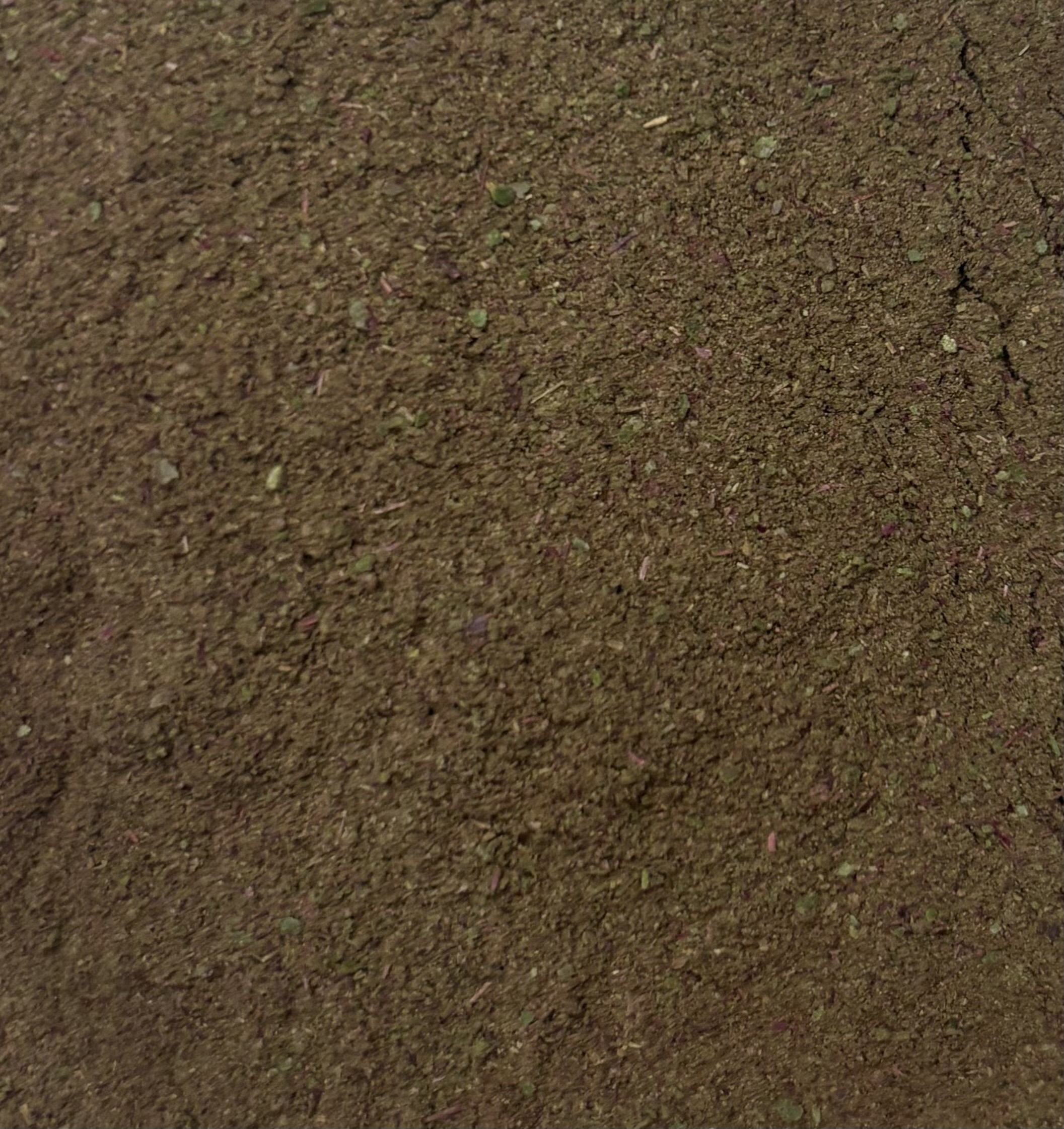 Beet Greens Powder