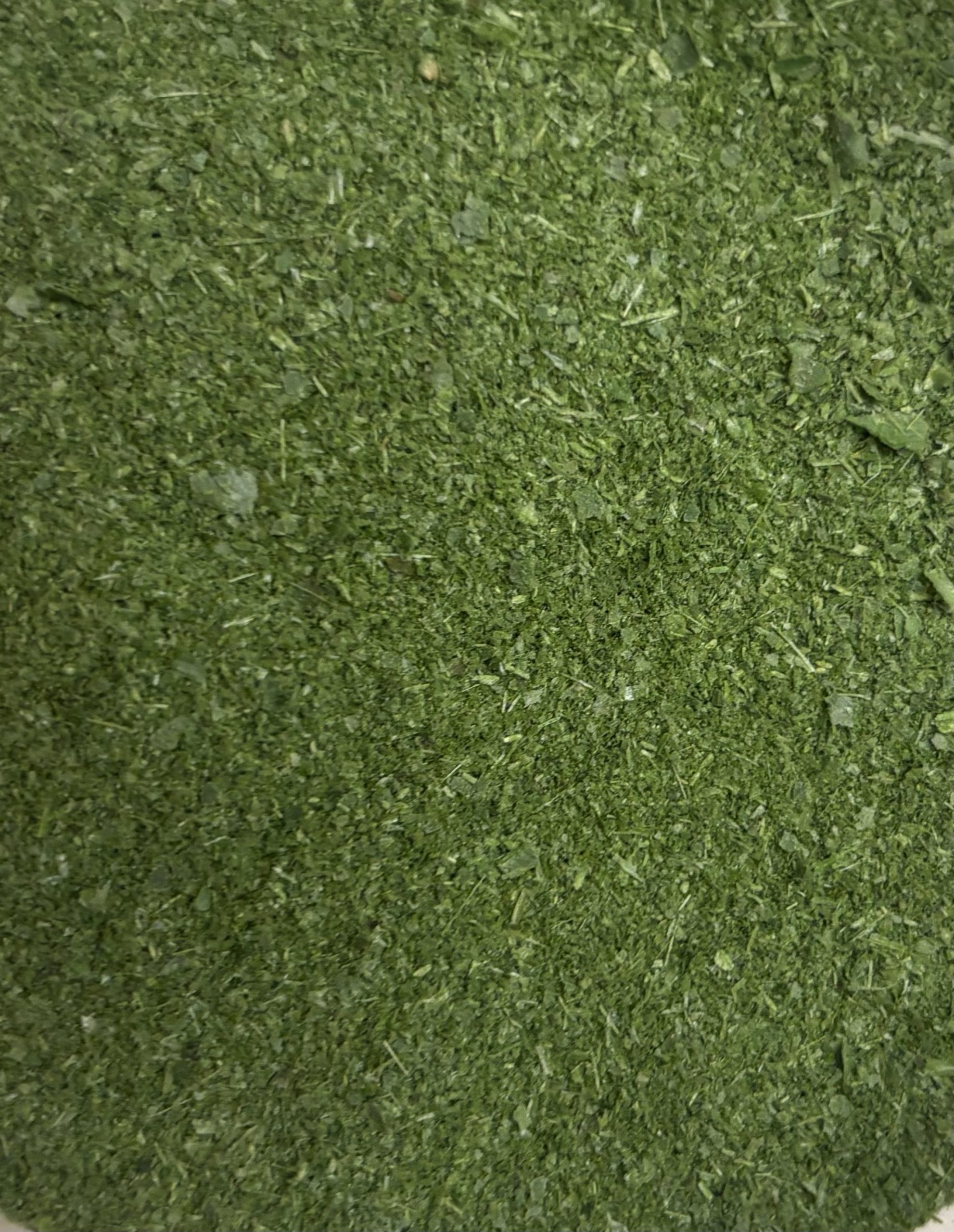 Cilantro Power