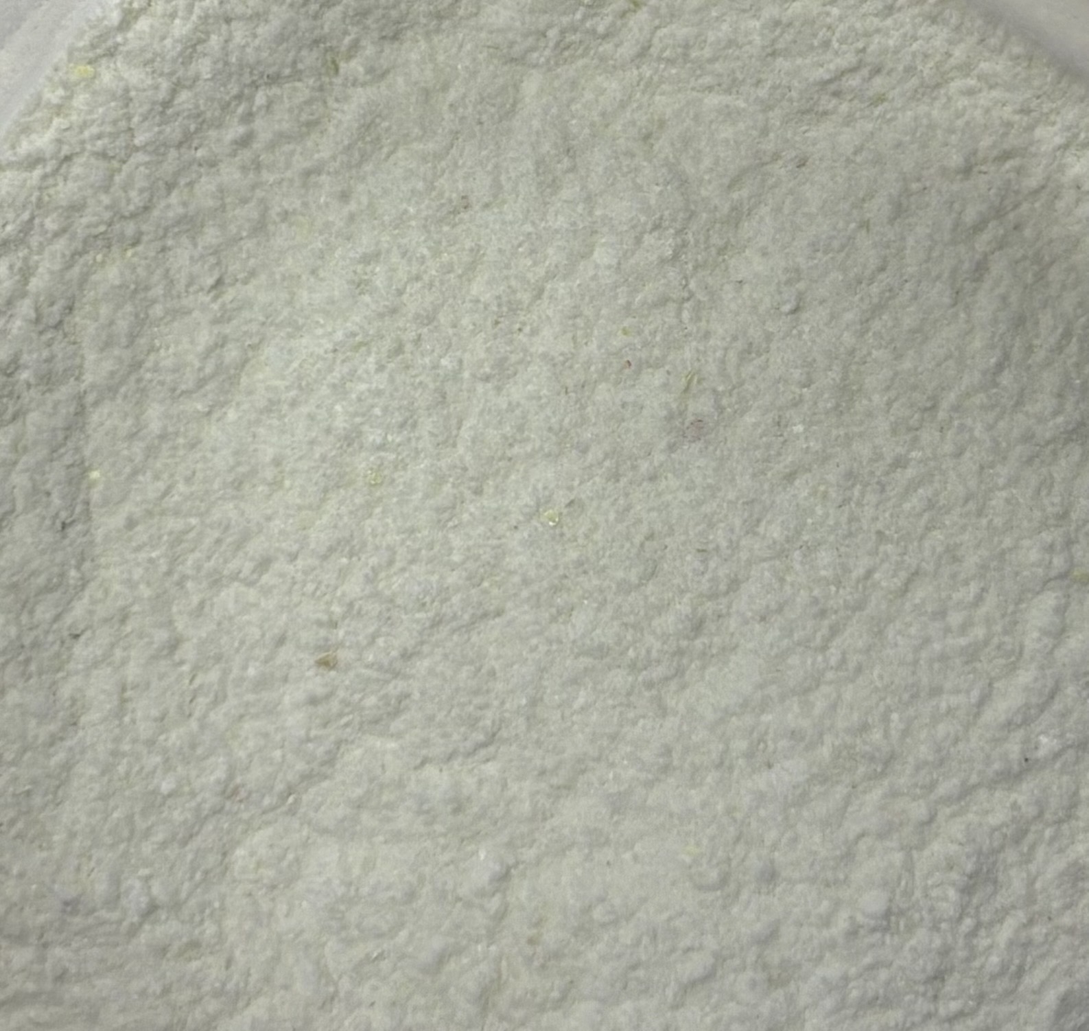 Onion Powder