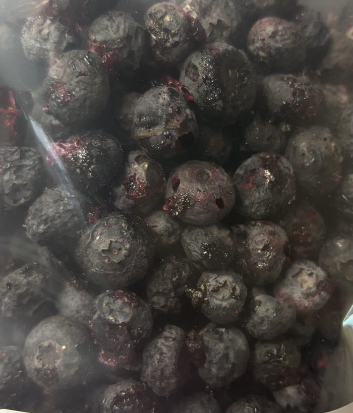 Freeze Dried Blue Berries